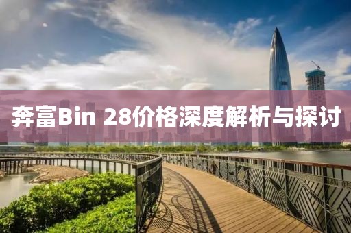 奔富Bin 28价格深度解析与探讨