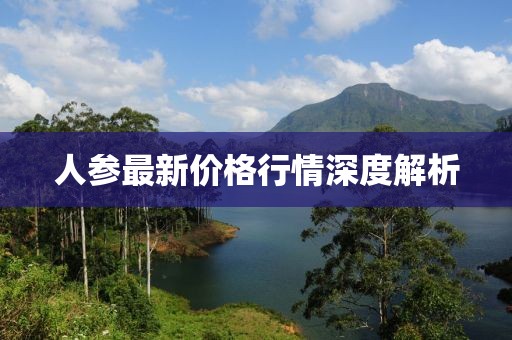 人参最新价格行情深度解析