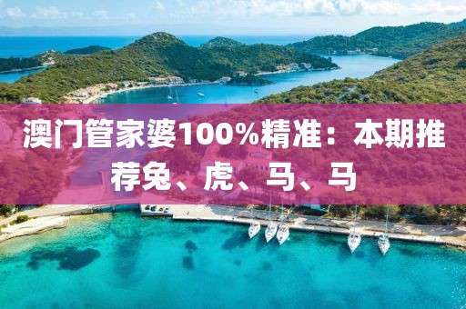 澳门管家婆100%精准：本期推荐兔、虎、马、马