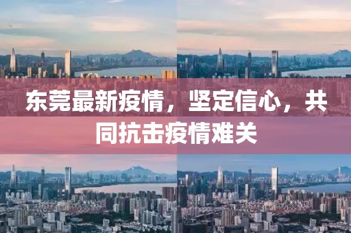 东莞最新疫情，坚定信心，共同抗击疫情难关