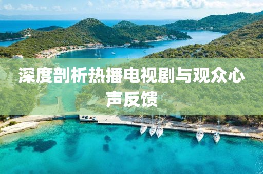 深度剖析热播电视剧与观众心声反馈