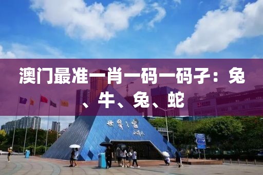 澳门最准一肖一码一码孑：兔、牛、兔、蛇