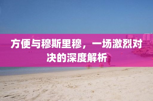 方便与穆斯里穆，一场激烈对决的深度解析