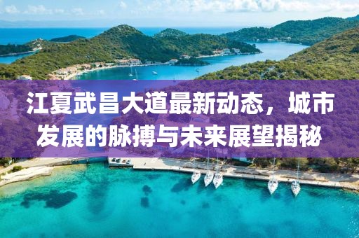 江夏武昌大道最新动态，城市发展的脉搏与未来展望揭秘