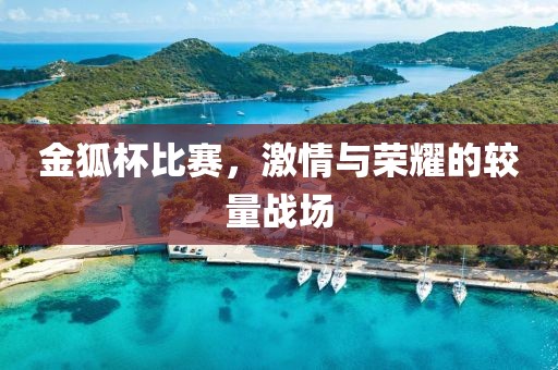 金狐杯比赛，激情与荣耀的较量战场