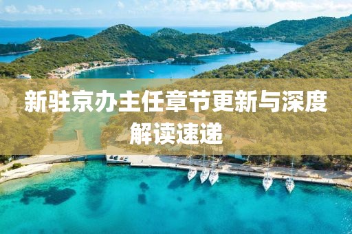 新驻京办主任章节更新与深度解读速递