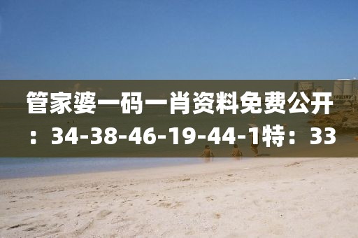 管家婆一码一肖资料免费公开：34-38-46-19-44-1特：33