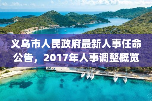 义乌市人民政府最新人事任命公告，2017年人事调整概览