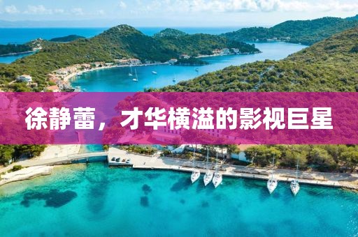 徐静蕾，才华横溢的影视巨星