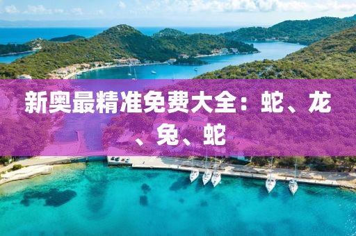 新奥最精准免费大全：蛇、龙、兔、蛇