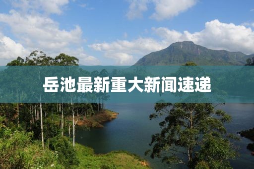 岳池最新重大新闻速递