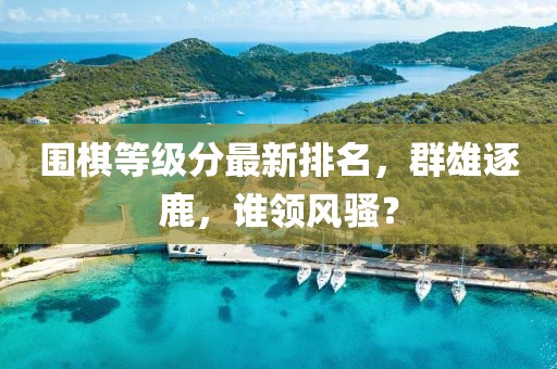 围棋等级分最新排名，群雄逐鹿，谁领风骚？