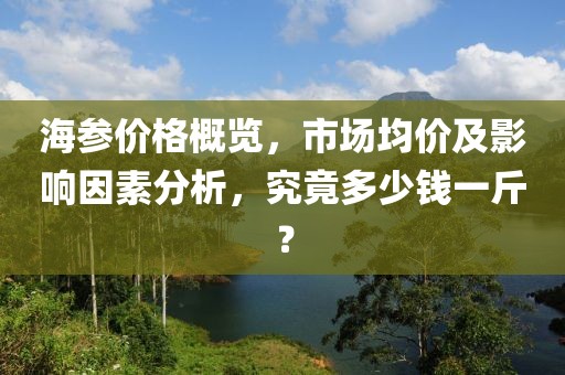海参价格概览，市场均价及影响因素分析，究竟多少钱一斤？