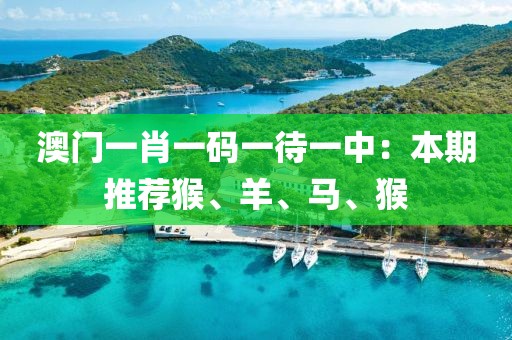 澳门一肖一码一待一中：本期推荐猴、羊、马、猴