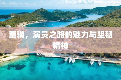 董骥，演员之路的魅力与坚韧精神