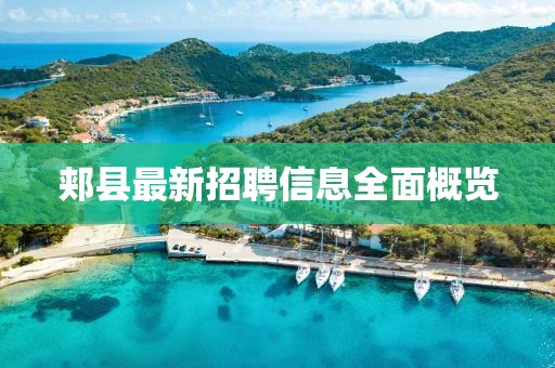 郏县最新招聘信息全面概览