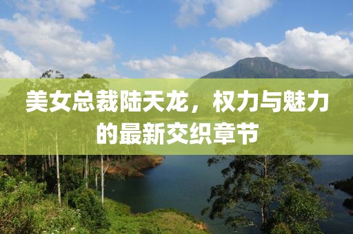 美女总裁陆天龙，权力与魅力的最新交织章节