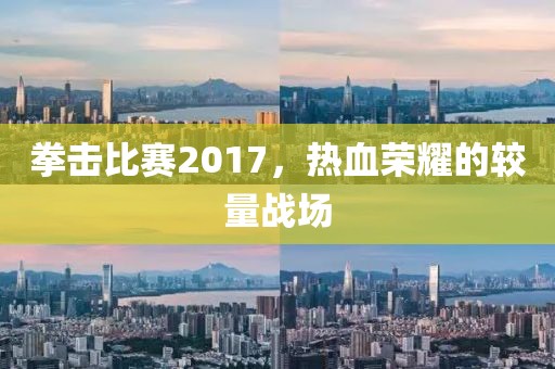 拳击比赛2017，热血荣耀的较量战场