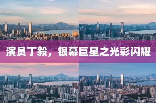 演员丁毅，银幕巨星之光彩闪耀