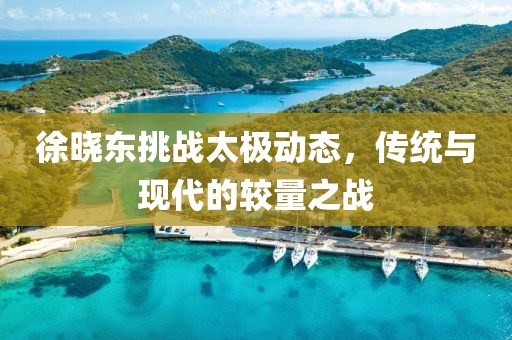 徐晓东挑战太极动态，传统与现代的较量之战