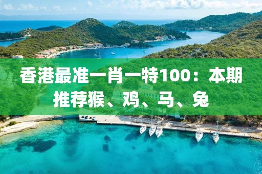 香港最准一肖一特100：本期推荐猴、鸡、马、兔