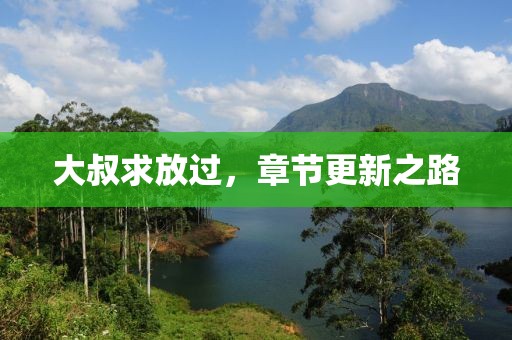 大叔求放过，章节更新之路
