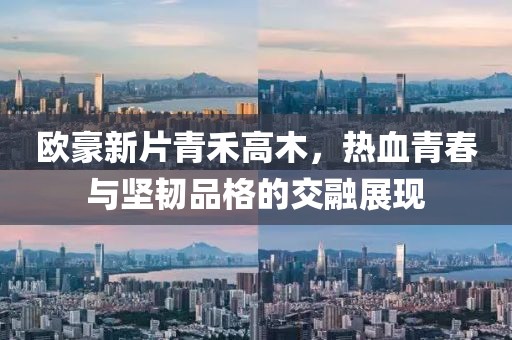 欧豪新片青禾高木，热血青春与坚韧品格的交融展现