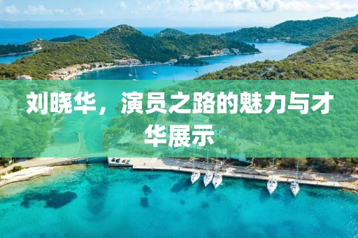 刘晓华，演员之路的魅力与才华展示