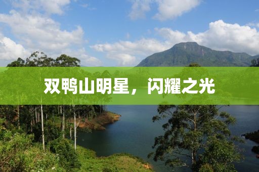 双鸭山明星，闪耀之光