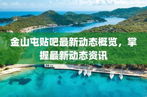 金山屯贴吧最新动态概览，掌握最新动态资讯