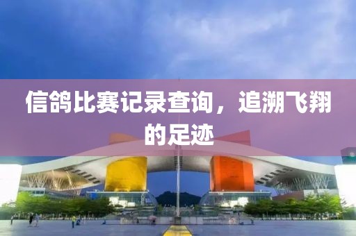 信鸽比赛记录查询，追溯飞翔的足迹