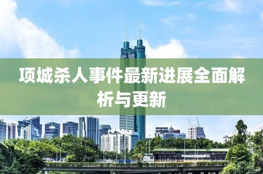 项城杀人事件最新进展全面解析与更新