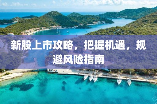 新股上市攻略，把握机遇，规避风险指南