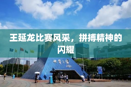 王延龙比赛风采，拼搏精神的闪耀