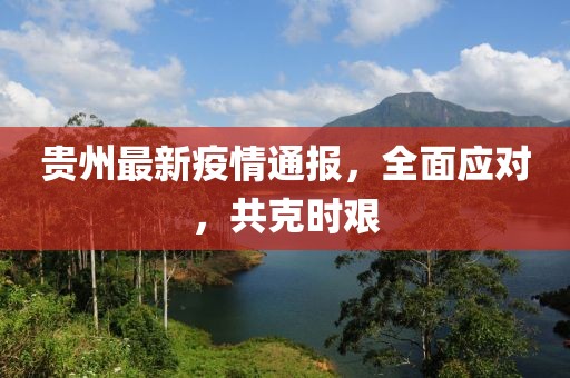 贵州最新疫情通报，全面应对，共克时艰