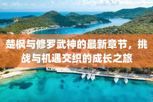 楚枫与修罗武神的最新章节，挑战与机遇交织的成长之旅