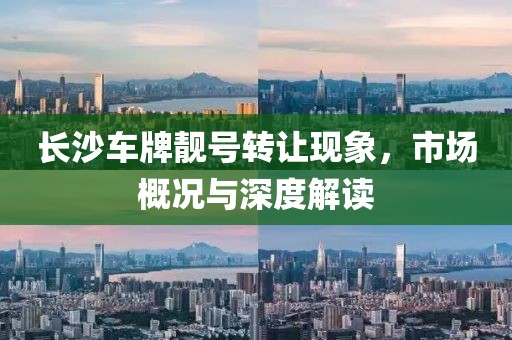 长沙车牌靓号转让现象，市场概况与深度解读