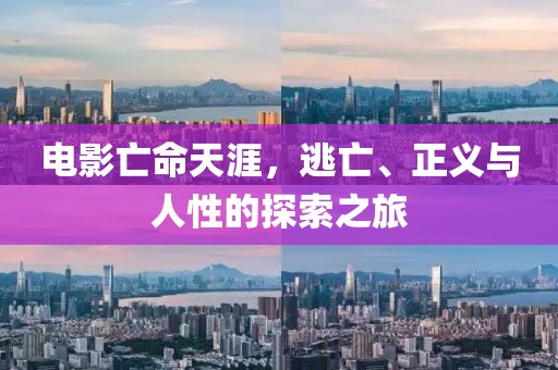 电影亡命天涯，逃亡、正义与人性的探索之旅