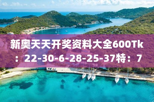 新奥天天开奖资料大全600Tk：22-30-6-28-25-37特：7