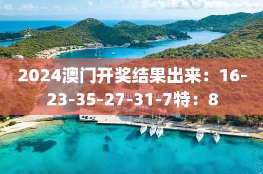 2024澳门开奖结果出来：16-23-35-27-31-7特：8
