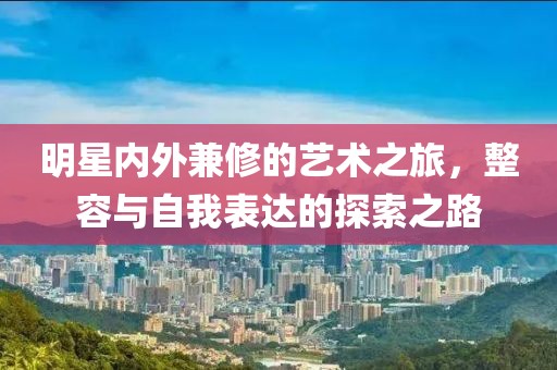 明星内外兼修的艺术之旅，整容与自我表达的探索之路