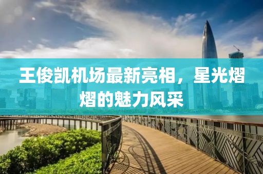 王俊凯机场最新亮相，星光熠熠的魅力风采