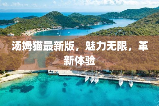 汤姆猫最新版，魅力无限，革新体验
