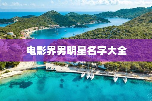 电影界男明星名字大全
