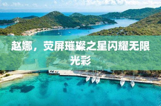赵娜，荧屏璀璨之星闪耀无限光彩