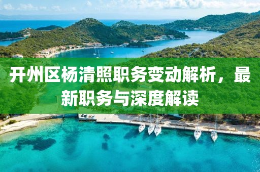 开州区杨清照职务变动解析，最新职务与深度解读