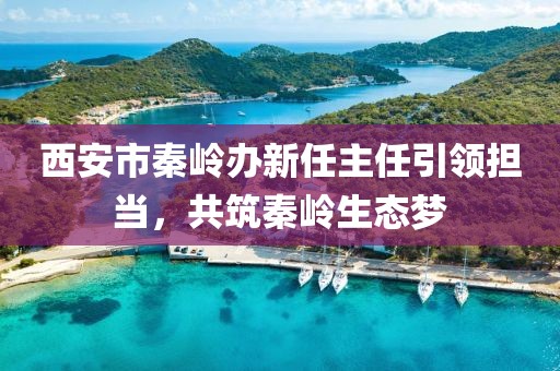 西安市秦岭办新任主任引领担当，共筑秦岭生态梦