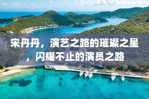 宋丹丹，演艺之路的璀璨之星，闪耀不止的演员之路