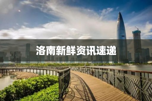 洛南新鲜资讯速递