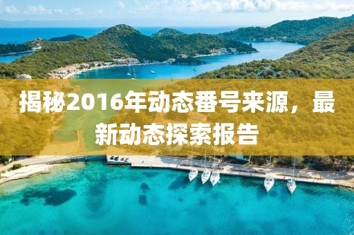 揭秘2016年动态番号来源，最新动态探索报告